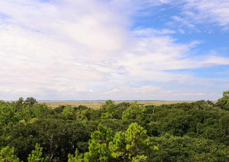 Corolla, North Carolina 27927, 2 Bedrooms Bedrooms, ,2 BathroomsBathrooms,Single family - detached,For sale,Canal Road,93588