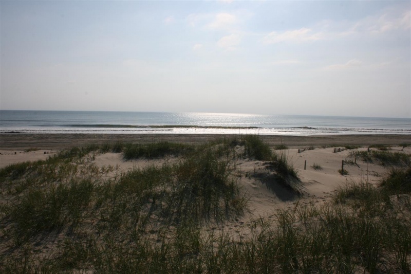 Corolla, North Carolina 27927, ,Residential,For sale,Ocean Pearl Road,94009