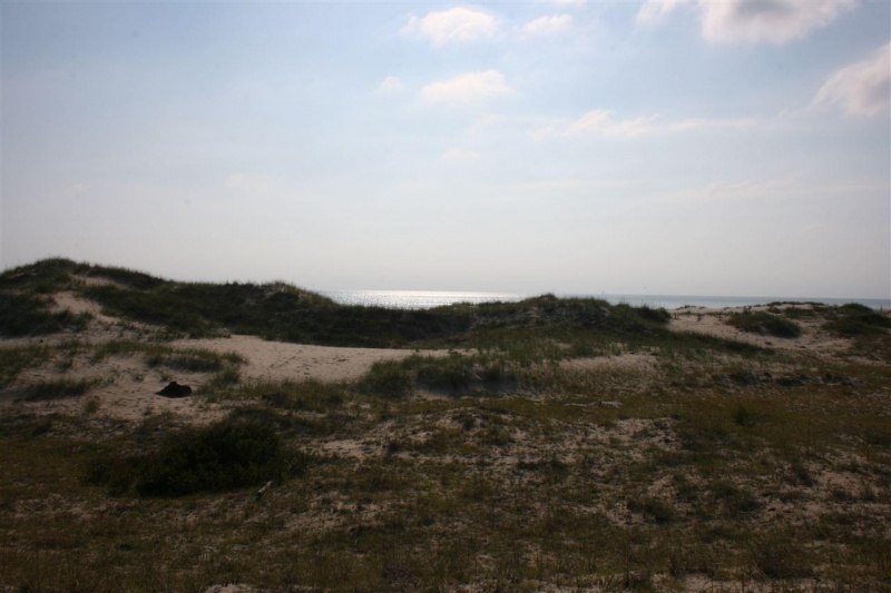 Corolla, North Carolina 27927, ,Residential,For sale,Ocean Pearl Road,94009