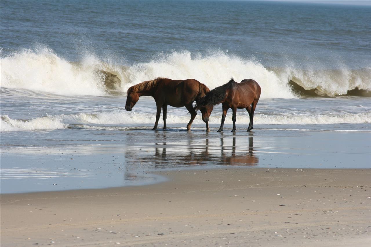 Corolla, North Carolina 27927, ,Residential,For sale,Ocean Pearl Road,98236