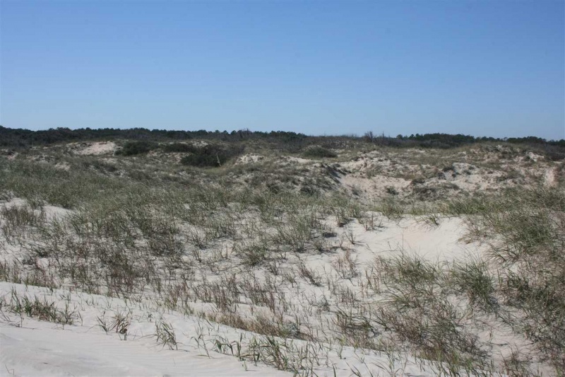 Corolla, North Carolina 27927, ,Residential,For sale,Ocean Pearl Road,98236