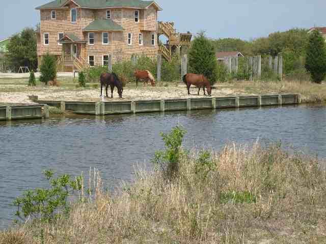 Corolla, North Carolina 27927, ,Residential,For sale,Brant Road,49487