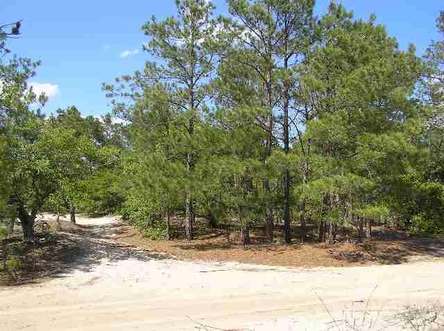 Corolla, North Carolina 27927, ,Residential,For sale,Ocean Pearl Road,56575