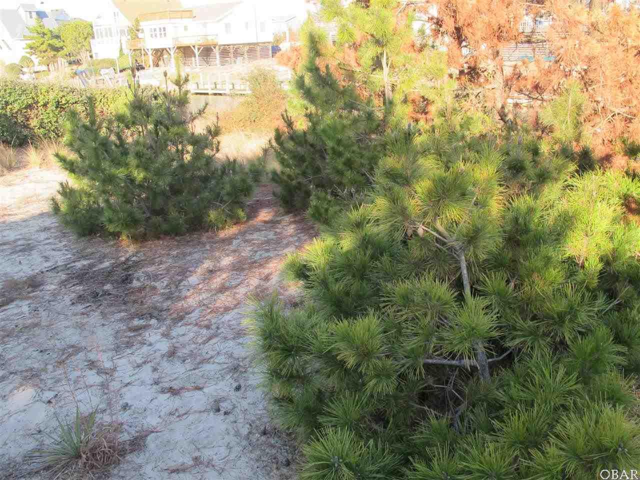 Nags Head, North Carolina 27959, ,Residential,For sale,Albacore Drive,82298