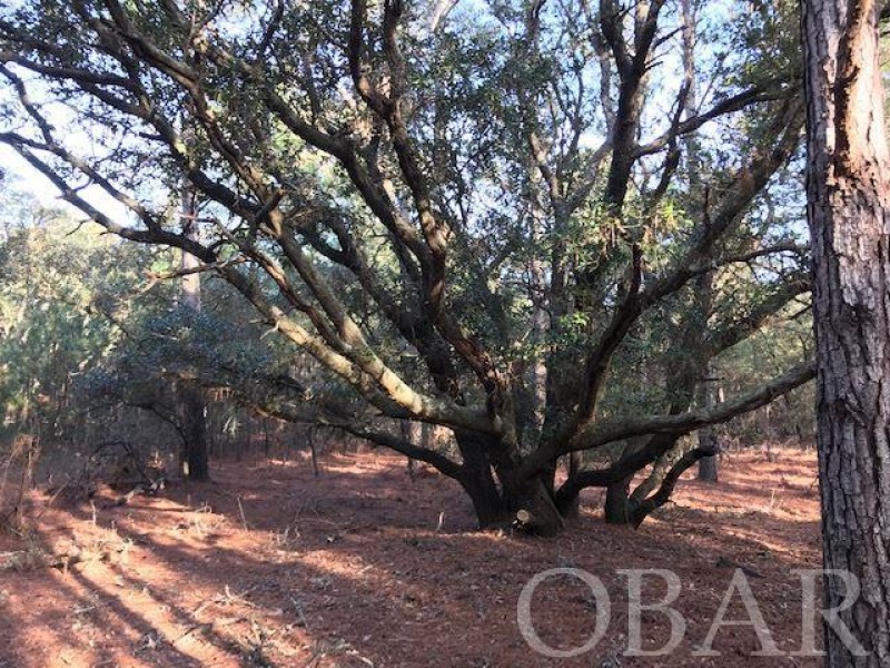 Corolla, North Carolina 27927, ,Residential,For sale,Ocean Sands Road,108113