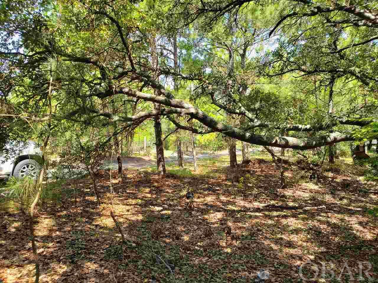 Corolla, North Carolina 27927, ,Residential,For sale,Carova Road,106143