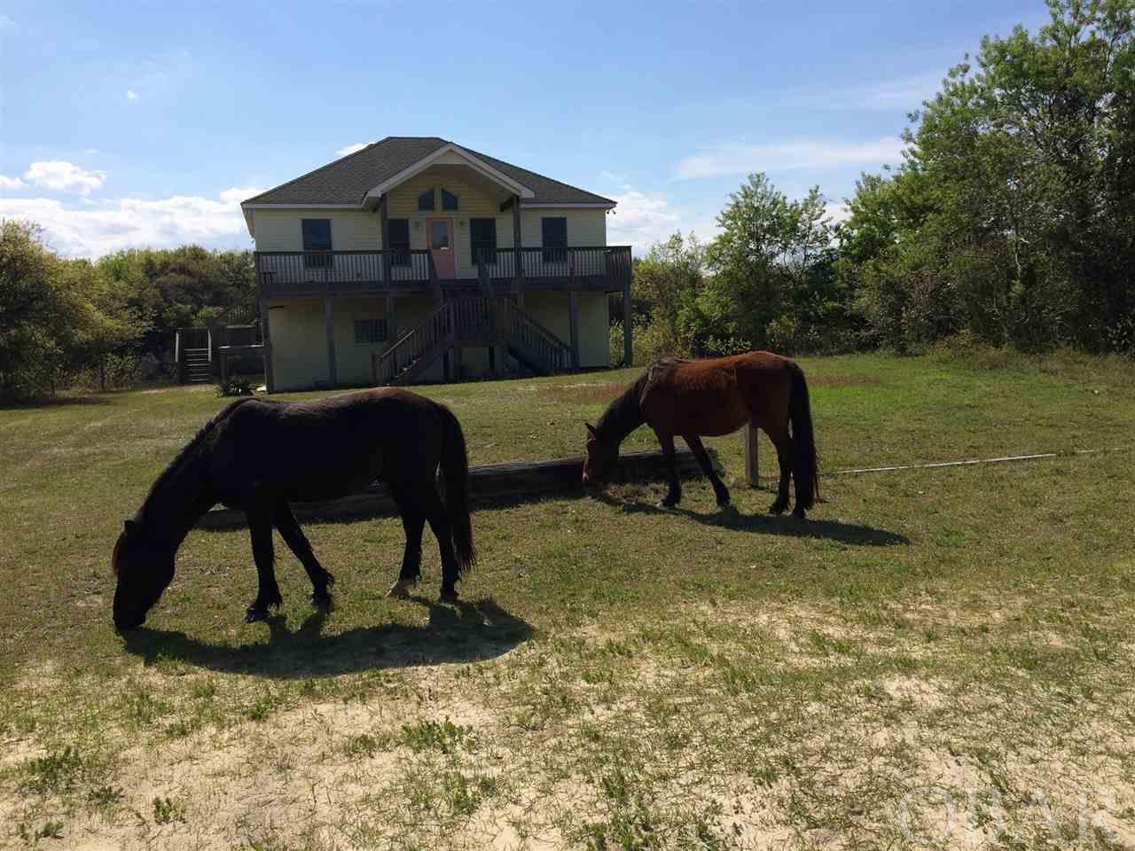 Corolla, North Carolina 27927, 3 Bedrooms Bedrooms, ,2 BathroomsBathrooms,Single family - detached,For sale,Ocean Pearl Road,111292