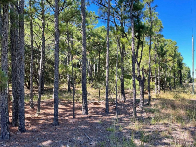 Corolla, North Carolina 27927, ,Residential,For sale,Ocean Sands Road,116270