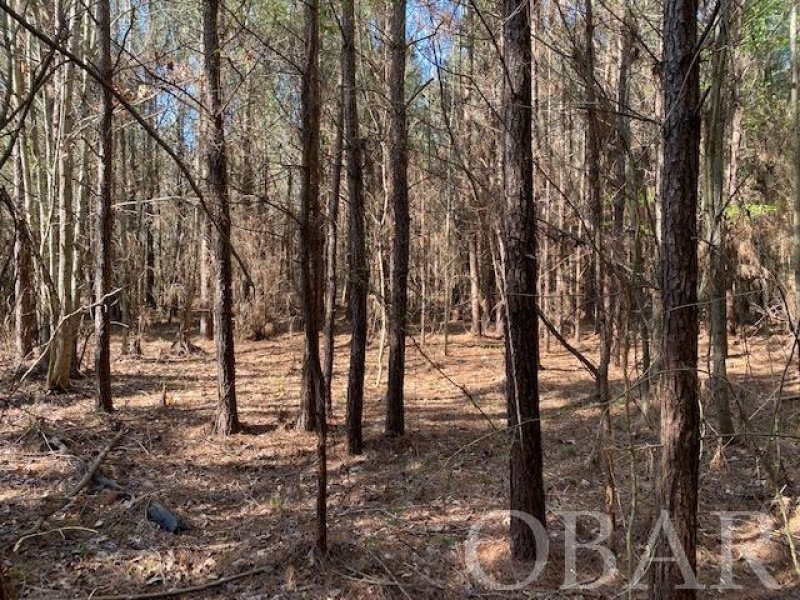 Elizabeth City, North Carolina 27909, ,Acreage,For sale,Main Street Ext,118320