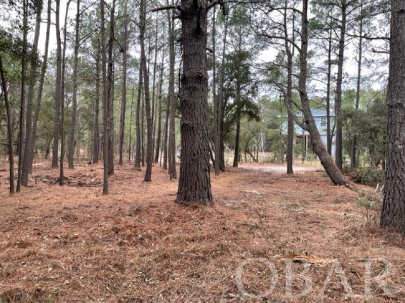 Corolla, North Carolina 27927, ,Residential,For sale,False Cape Road,117771