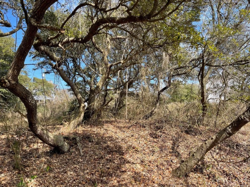 Corolla, North Carolina 27927, ,Residential,For sale,Sandpiper Road,118010