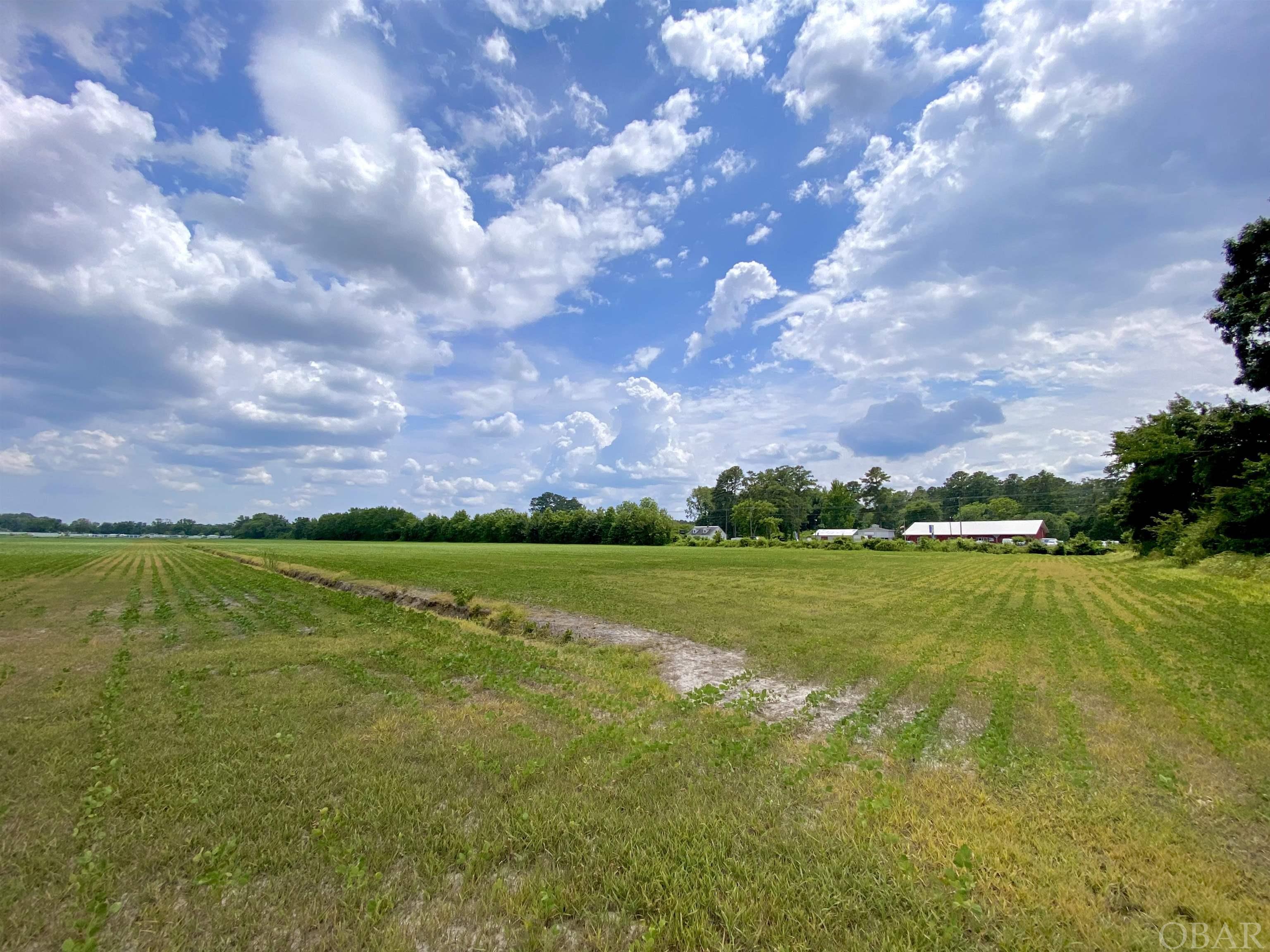 Moyock, North Carolina 27958, ,Acreage,For sale,Tulls Creek Road,119247