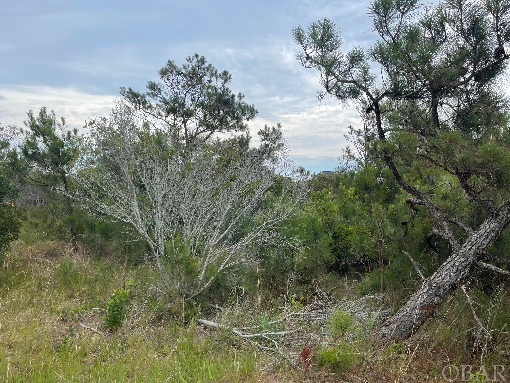 Corolla, North Carolina 27927, ,Residential,For sale,Canal Road,119363