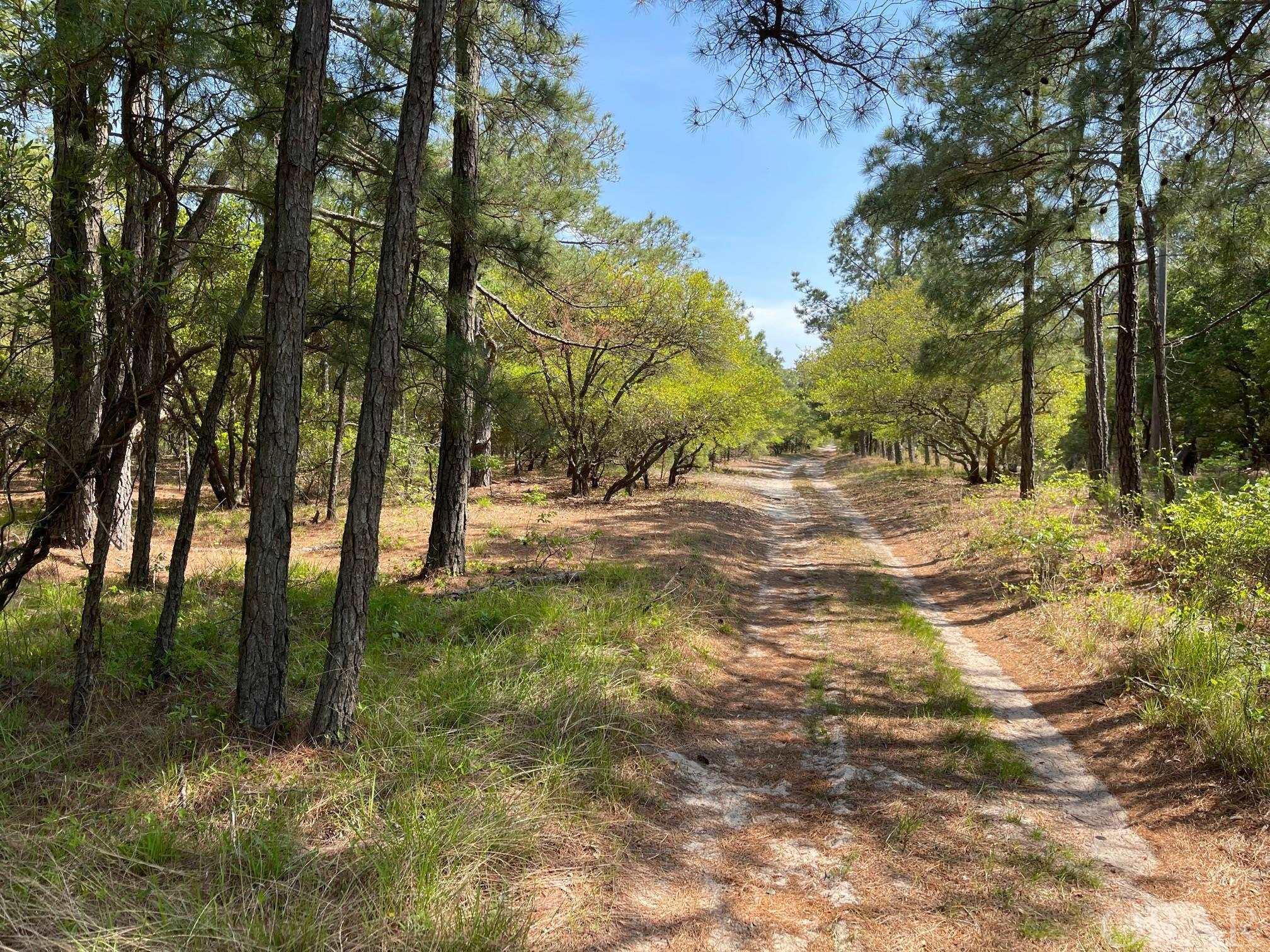 Corolla, North Carolina 27927, ,Residential,For sale,Ocean Sands Road,118699