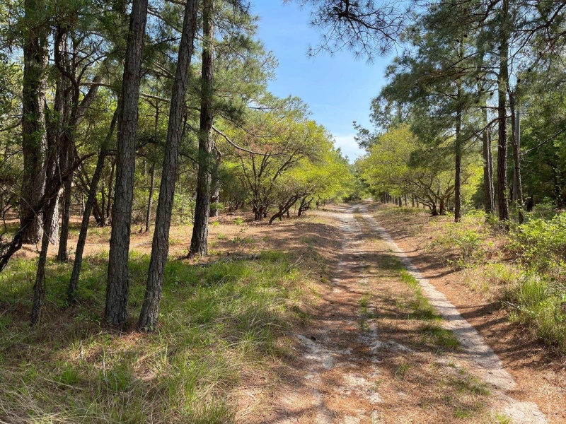 Corolla, North Carolina 27927, ,Residential,For sale,Ocean Sands Road,118699