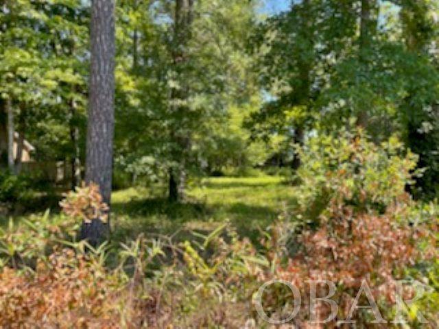 Elizabeth City, North Carolina 27909, ,Acreage,For sale,Caddy Lane,120015