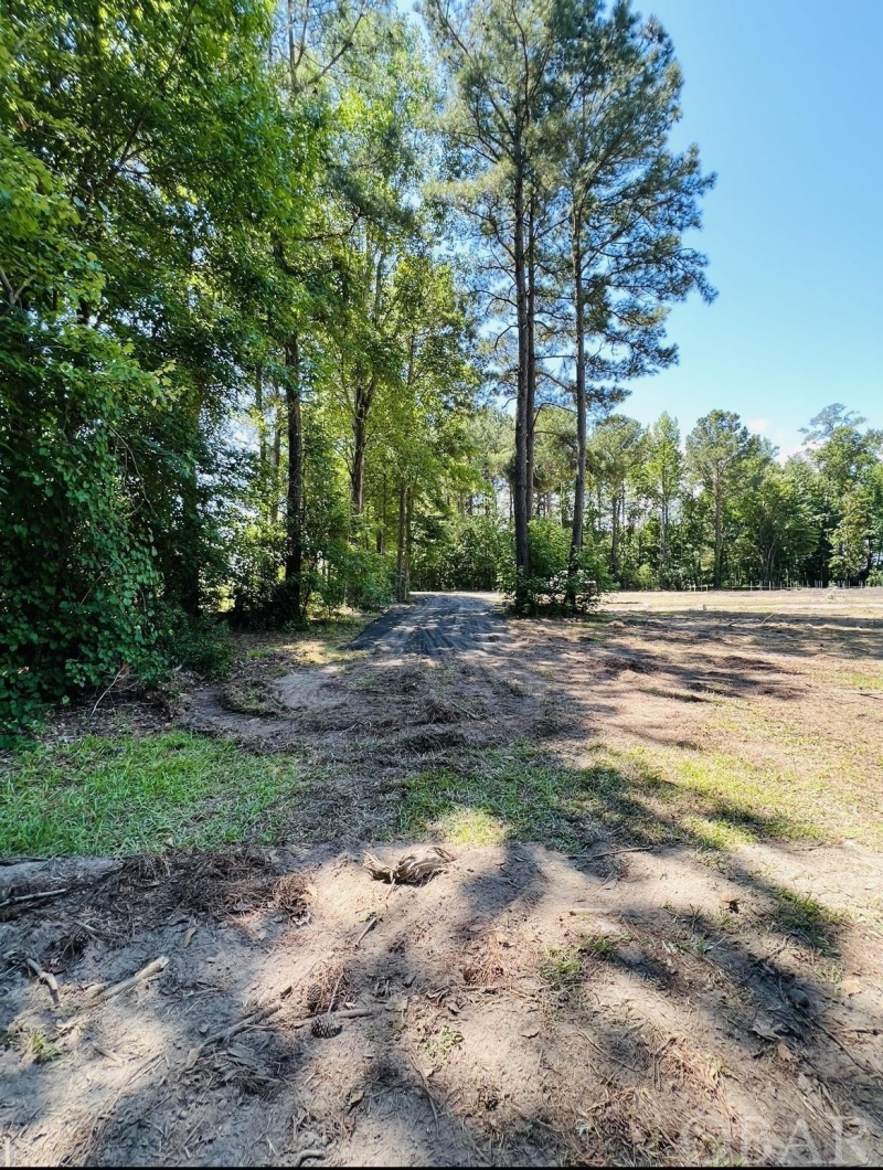 Currituck, North Carolina 27929, 4 Bedrooms Bedrooms, ,2 BathroomsBathrooms,Single family - detached,For sale,Caratoke Highway,119565