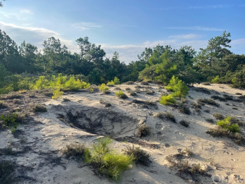 Corolla, North Carolina 27927, ,Residential,For sale,Bluefish Crescent,119865