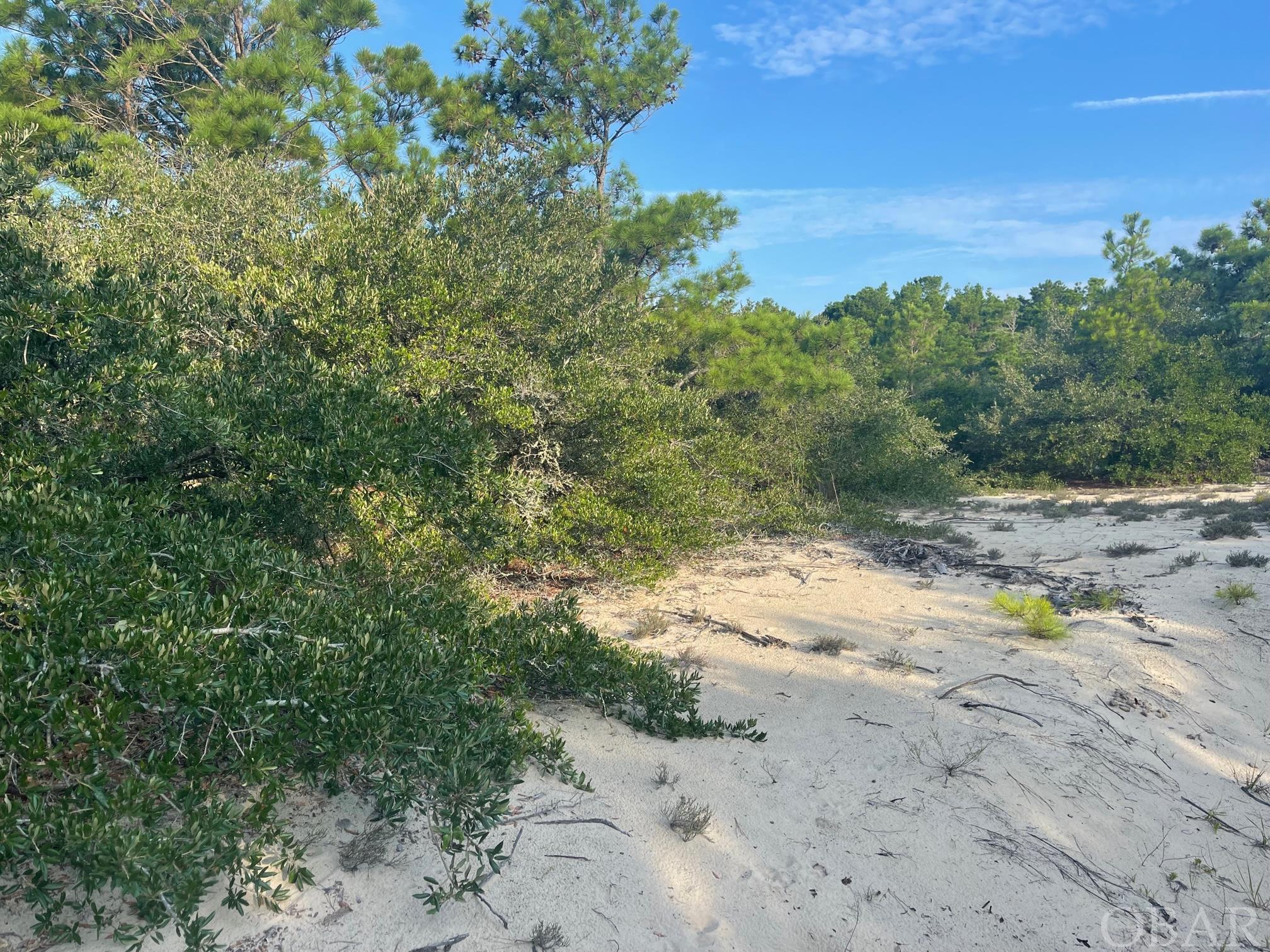 Corolla, North Carolina 27927, ,Residential,For sale,Bluefish Crescent,119866