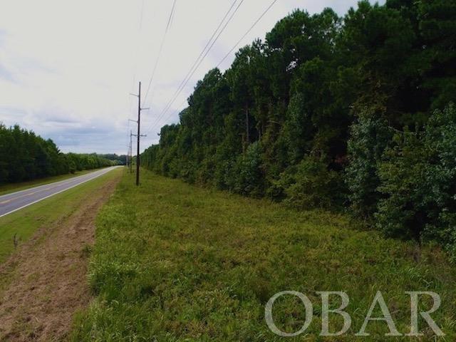 Belhaven, North Carolina 27810, ,Acreage,For sale,Old Hwy 264,120308