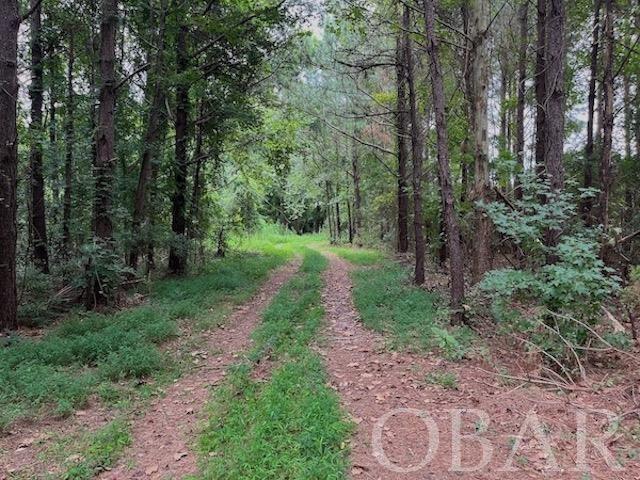 Belhaven, North Carolina 27810, ,Acreage,For sale,Old Hwy 264,120308