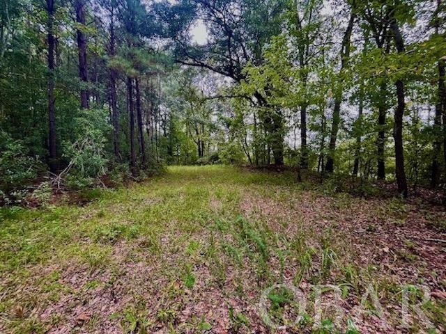 Belhaven, North Carolina 27810, ,Acreage,For sale,Old Hwy 264,120308