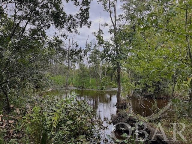 Belhaven, North Carolina 27810, ,Acreage,For sale,Old Hwy 264,120308