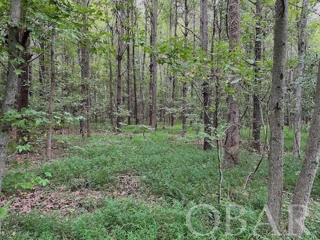 Belhaven, North Carolina 27810, ,Acreage,For sale,Old Hwy 264,120308