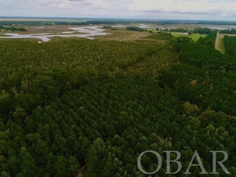 Belhaven, North Carolina 27810, ,Acreage,For sale,Old Hwy 264,120308