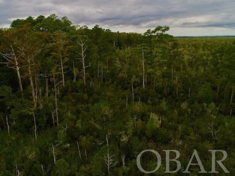 Belhaven, North Carolina 27810, ,Acreage,For sale,Old Hwy 264,120308