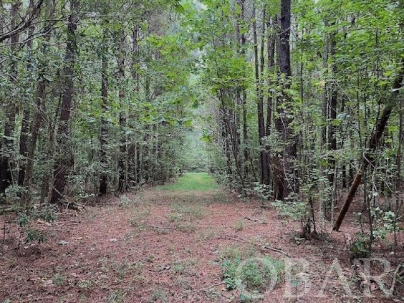 Belhaven, North Carolina 27810, ,Acreage,For sale,Old Hwy 264,120308