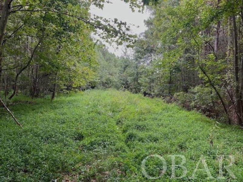 Belhaven, North Carolina 27810, ,Acreage,For sale,Old Hwy 264,120308