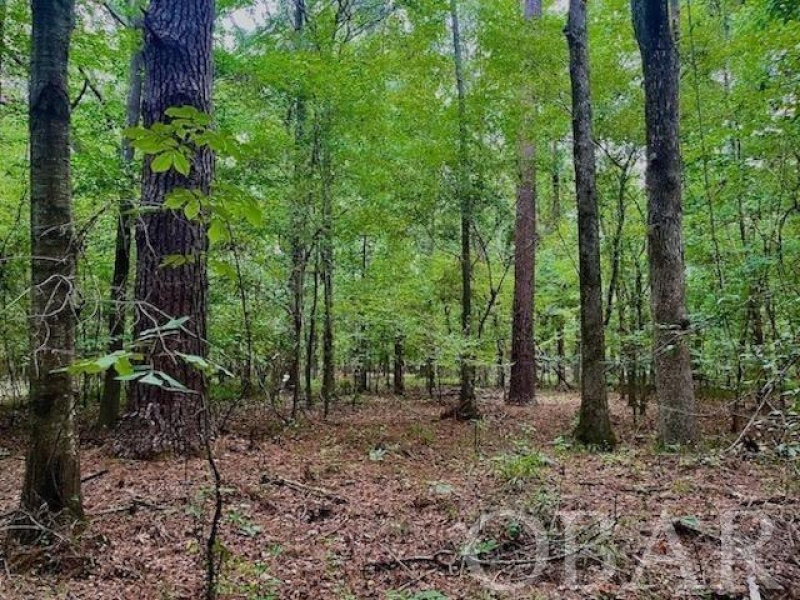 Belhaven, North Carolina 27810, ,Acreage,For sale,Old Hwy 264,120308