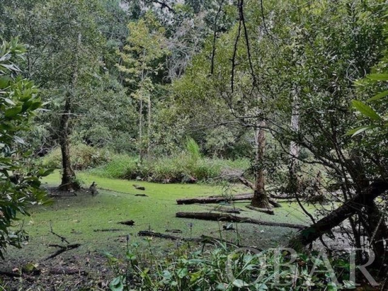 Belhaven, North Carolina 27810, ,Acreage,For sale,Old Hwy 264,120308