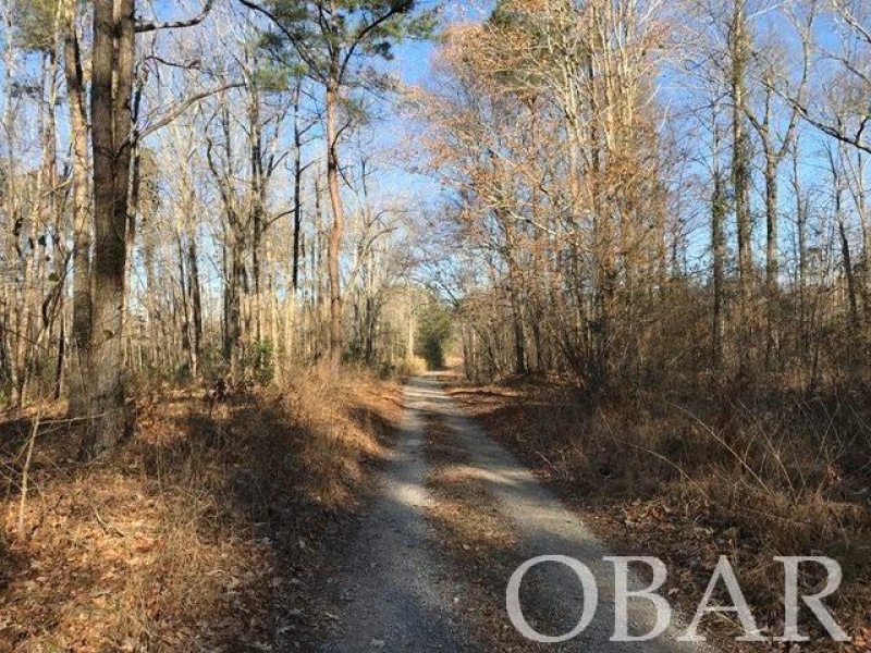 Roper, North Carolina 27927, ,Acreage,For sale,Mallard Drive,114325