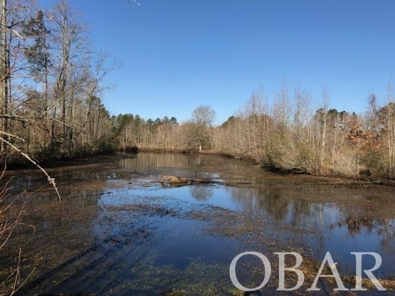 Roper, North Carolina 27927, ,Acreage,For sale,Mallard Drive,114325