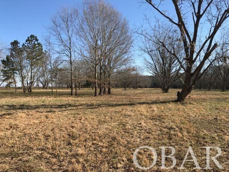 Roper, North Carolina 27927, ,Acreage,For sale,Mallard Drive,114325