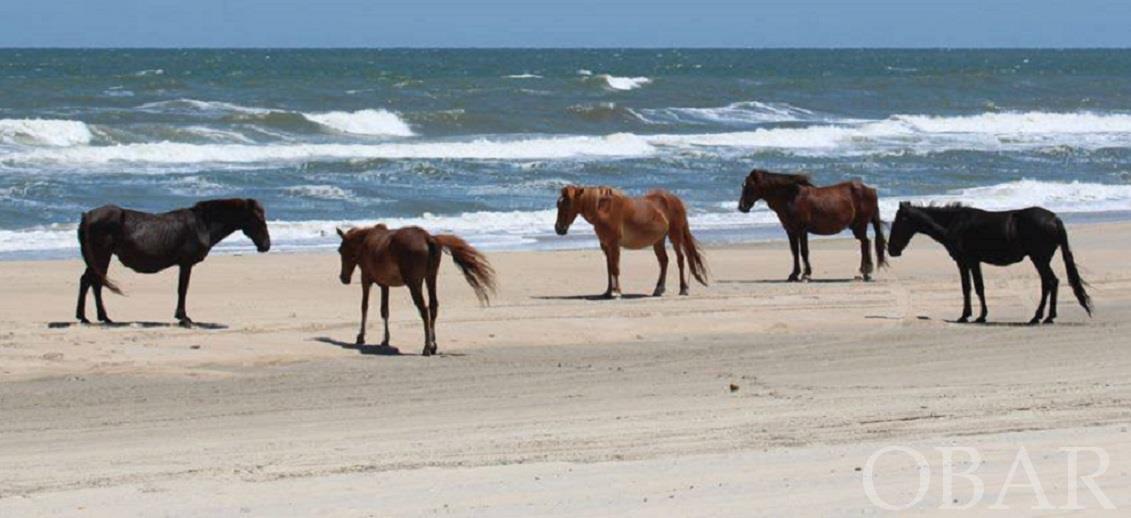 Corolla, North Carolina 27927, ,Residential,For sale,Ocean Pearl Road,120329