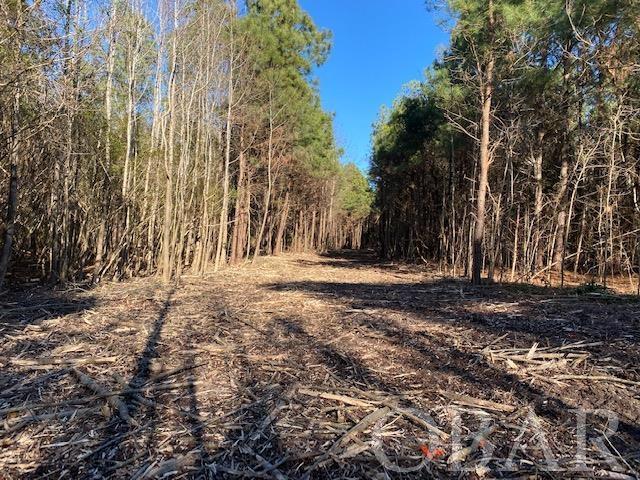 Jarvisburg, North Carolina 27939, ,Acreage,For sale,Fisher Landing Road,116815